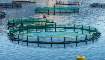 Минсельхоз РФ расширил список болезней для страхования в аквакультуре