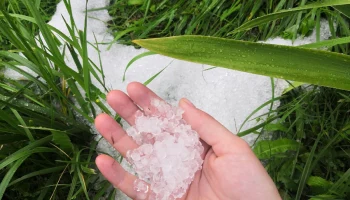 Росгосстрах ускорил урегулирование убытков после града в Ульяновске