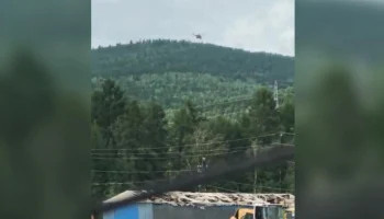 Пассажиры разбившегося в Приамурье Ан-24 застрахованы в СОГАЗе