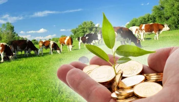 Агрострахование в Алтайском крае: проблемы и перспективы развития