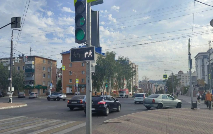 В Белгороде подешевело ОСАГО, но жители стали тратить на страховки больше