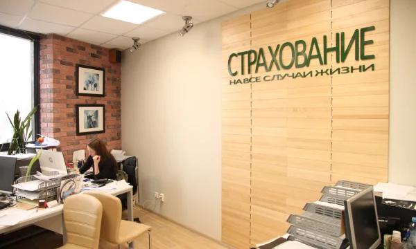 Систему добровольного страхования жилья от ЧС планируют реформировать