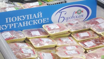 Как агрофирма из Кургана защитила поголовье птицы на 258 млн рублей с помощью господдержки