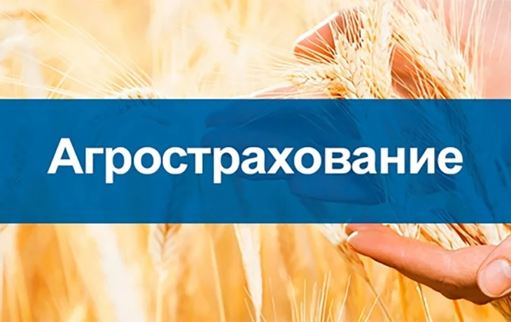 ​НСА предложил новгородским фермерам защитные механизмы на 2026 год