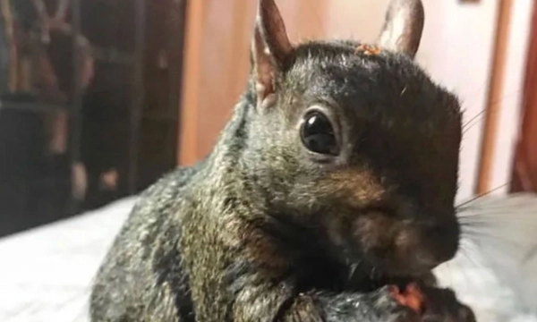 В «Ингосстрахе» назвали самые необычные страховые случаи с туристами за рубежом