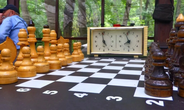 «Ингосстрах» получил награду за вклад в развитие шахмат в России