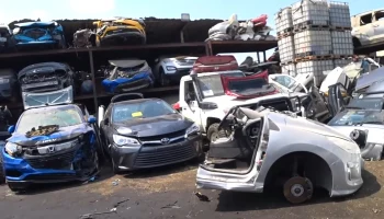 МВД перечислило самые распространенные схемы мошенничества с полисами ОСАГО