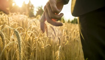 Агростраховщики удвоили выплаты аграриям за первые 9 месяцев 2024 года