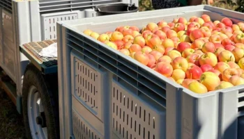 &laquo;СберСтрахование&raquo; выплатила 82 млн рублей белгородской ферме за неурожай