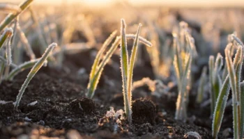 НСА ввел процедуру реагирования по ЧС в трех южных регионах России