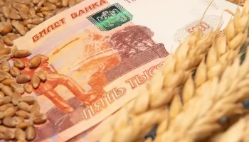 В 2024 году российские аграрии могут получить 6 млрд рублей страховых выплат