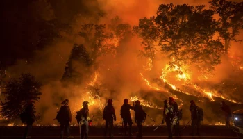 Будет разработана возможность онлайн-отслеживания наличия страховых полисов в районах чрезвычайных ситуаций