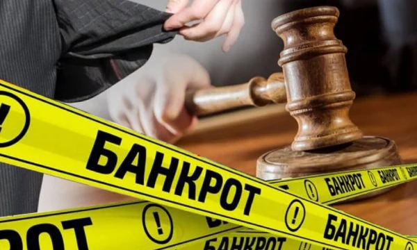 НСЗПП предлагает увеличить лимит внесудебного банкротства до 2 млн рублей