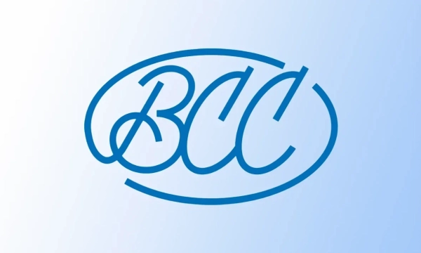 Кризис управления в ВСС: устаревшие методы Евгения Уфимцева ведут рынок автострахования к убыткам