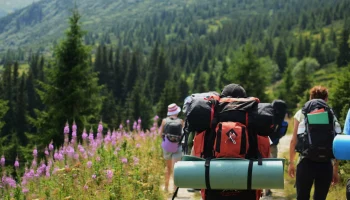 В РСТ предложили ввести обязательное страхование для организаторов активных туров